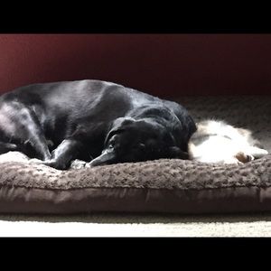 Meet your Posher, Carrie